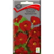 Настурция большая Коричневый блик 1гр (Поиск)