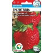 Земляника Гигантелла 10шт (СибСад)