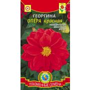 Георгина Опера Красная 11шт (Плазмас)