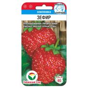 Земляника Зефир 10шт (Сиб сад)