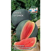 Арбуз Огонек 1гр Седек