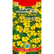 Бархатцы тонколистные Лемон джем (Плазмас)