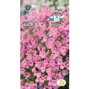 Диасция Бася (нежно-розовая) 0,05г Седек