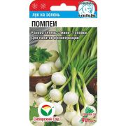 Лук на зелень Помпеи 0,5г (Сиб Сад)