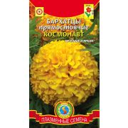 Бархатцы прямостоячие Космонавт (Плазмас)