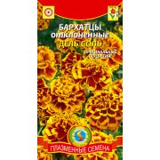 Бархатцы отклоненные Дель Соль (Плазмас)