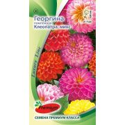 Георгина помпонная Клеопатра микс 0,1г (Премиум)