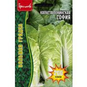 Капуста пекинская София 200 шт (ГР)
