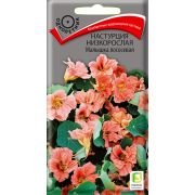 Настурция низкорослая Малышка лососевая 1гр (Поиск)