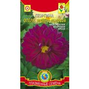 Георгина Опера Тёмно-лиловый 10 шт (Плазмас)