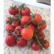 Томат Розовый Сувенир 20шт (СамСем)