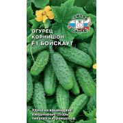Огурец Бойскаут F1 0,3г (Седек)