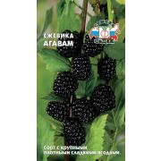 Ежевика Агавам 0,05 Седек