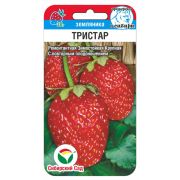 Земляника Тристар 10шт (Сиб сад)