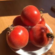 Томат Голубая Ель 20шт (СамСем)