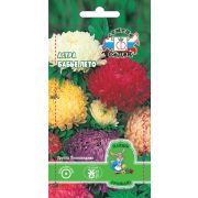 Астра Бабье лето 0,2г ДУ (Седек)