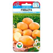 Картофель Ривьера 12шт (Сиб Сад)