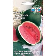 Арбуз Сахарный малыш 1гр (Седек)