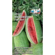 Арбуз Медовый гигант 1гр (Седек)