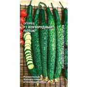 Огурец Изумрудный поток F1 0,2гр (Седек)