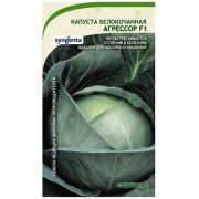 Капуста Агрессор б/к F1 10шт (Садовита Ц)