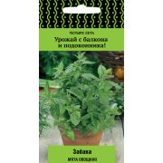 Мята овощная Забава 20шт (Поиск)