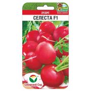 Редис Селеста 100 шт(Сиб Сад)