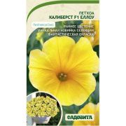 Петхоа Калиберст F1 Еллоу 4шт Садовита