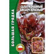 Салат кочанный Айсберг Красный 1000 шт (ГР)