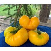 Томат Золотая Королева 20шт (СамСем)