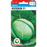 Капуста белокочанная Колобок F1 25шт (Сиб сад)