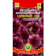 Петуния F1 многоцветковая Сливовый лед (Плазмас)
