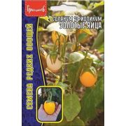 Солянум Эфиопикум «Золотые Яйца» 12шт (ГР)