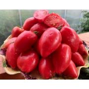 Томат Десперадо 20шт (СамСем)