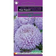 Астра Леди Корал Лавандовая (ГШ)