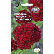 Гвоздика Турецкая Касабланка 0,3г Седек