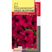 Петуния крупноцветковая F1 Саксесс 360 Бургунди (Плазмас)