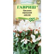Цикламен Анели персидский мини 3шт (ГШ)