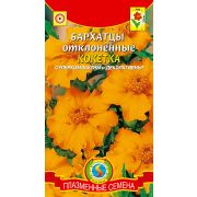 Бархатцы отклоненные Кокетка 30шт (Плазмас)