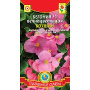 Бегония вечноцветущая F1 Боушин 10шт (Плазмас)