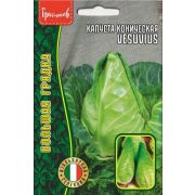 Капуста б/к Итальянская коническая Vesuvius 0.2г	(ГР)