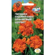 Гвоздика Оранжевый Щербет (вид Шабо) 0,1г Седек