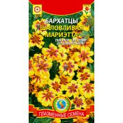 Бархатцы Шаловливая Мариэтта (Плазмас)