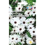 Маргаритка капская Дитя природы 0,1г Седек