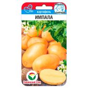 Картофель Импала 12шт (Сиб Сад)