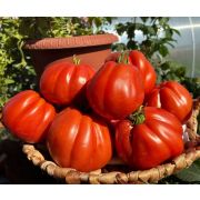 Томат Сто Пудов 20шт (СамСем)