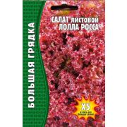 Салат листовой Лолла Росса 500шт (ГР)