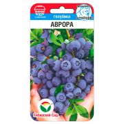 Голубика Аврора 10шт (Сиб Сад)