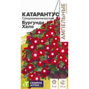 Катарантус Средиземноморский Бургунди Хало 5 шт. (Сем Алт)