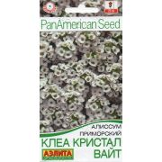 Алиссум Клеа кристал вайт 4шт (Аэлита)